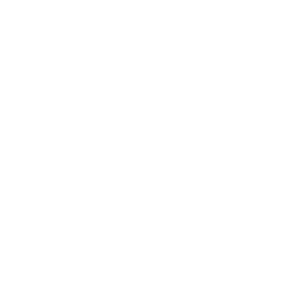 JetExpress Logo